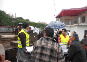 Autarcas “enterraram” a lei durante marcha lenta