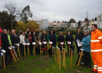 Parque dos Marmelos recebeu 30 árvores novas