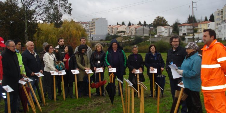 Parque dos Marmelos recebeu 30 árvores novas