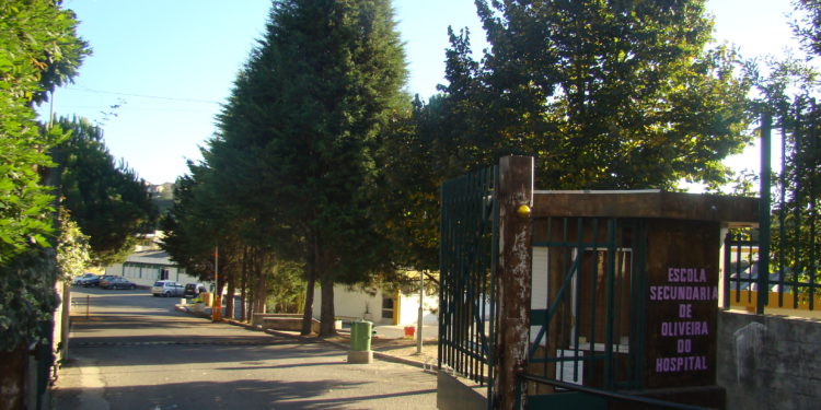 Ministério da Educação cria um só mega agrupamento de escolas em Oliveira