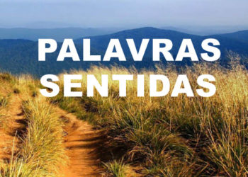 Lançamento do livro “Palavras Sentidas” de Lucinda Maria