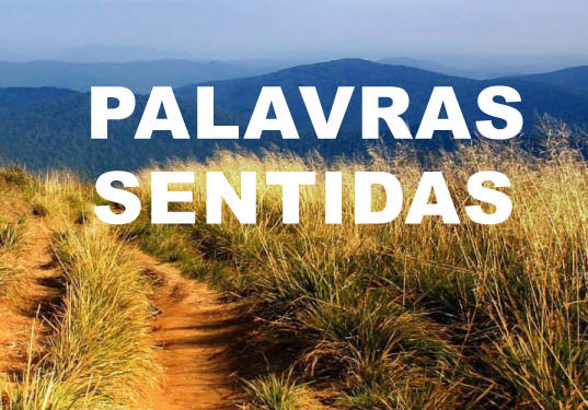 Lançamento do livro “Palavras Sentidas” de Lucinda Maria