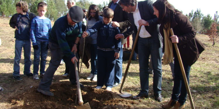 Quinta da Serrana recebe 170 árvores novas