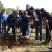 Quinta da Serrana recebe 170 árvores novas
