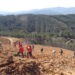 Município promove reflorestação no baldio de Rio de Mel
