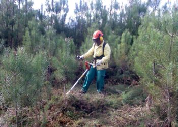 Alvoco das Várzeas recebeu 3º Encontro Distrital de Sapadores Florestais