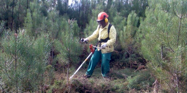 Alvoco das Várzeas recebeu 3º Encontro Distrital de Sapadores Florestais