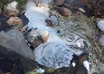 Banho de espuma no açude da Moenda alerta para possíveis descargas de esgotos