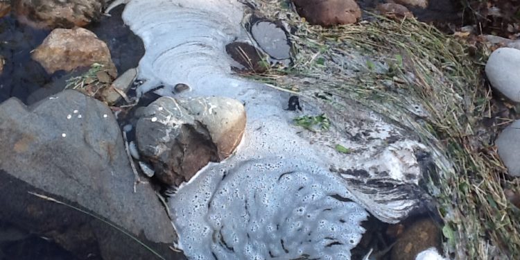 Banho de espuma no açude da Moenda alerta para possíveis descargas de esgotos