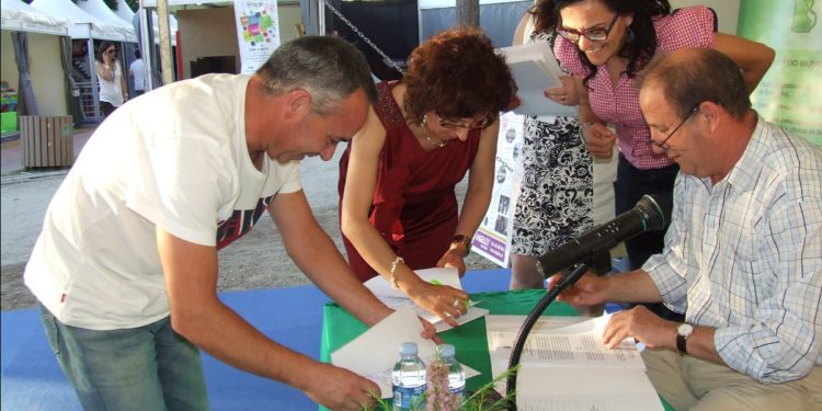 Câmara apoia 101 postos de trabalho através do programa AtivoSociais