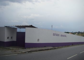 Vereador do PSD critica substituição do relvado natural no Estádio Municipal
