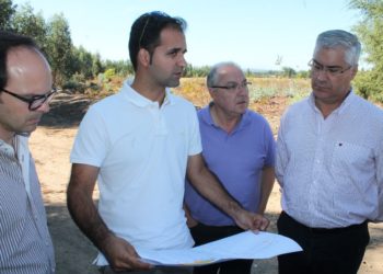 Empresário aposta em plantação de frutos vermelhos em Tábua
