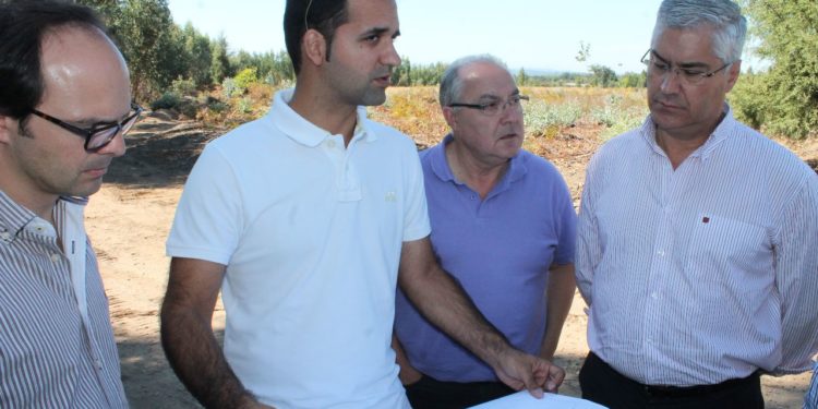 Empresário aposta em plantação de frutos vermelhos em Tábua