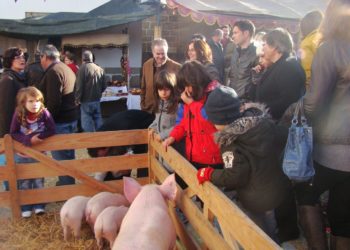 Feira do Porco e do Enchido de Meruge promete grandes momentos