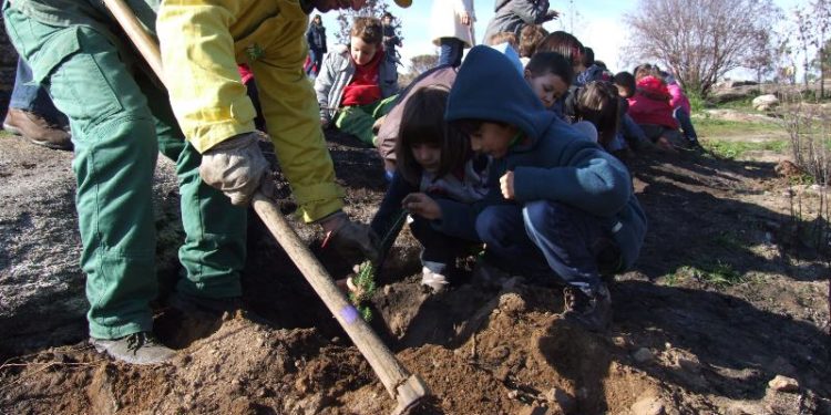 Município de Oliveira do Hospital participa no “Dia Florestar Portugal com Flora Autóctone”