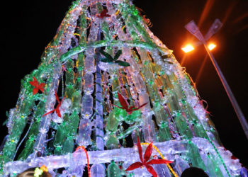 Travanca de Lagos quer construir a maior árvore de natal ecológica do mundo