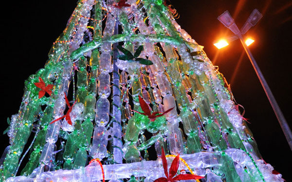 Travanca de Lagos quer construir a maior árvore de natal ecológica do mundo