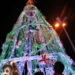 Travanca de Lagos quer construir a maior árvore de natal ecológica do mundo