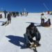Utentes da ARCIAL fizeram esqui na Serra da Estrela