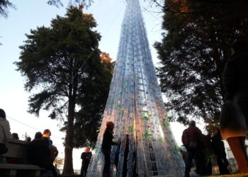 Travanca de Lagos quer entrar no “guiness” com maior árvore de natal ecológica