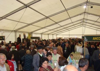 Festa do Queijo regressa ao coração da cidade