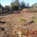 Meruge denuncia “crime ambiental” em parque emblemático da freguesia