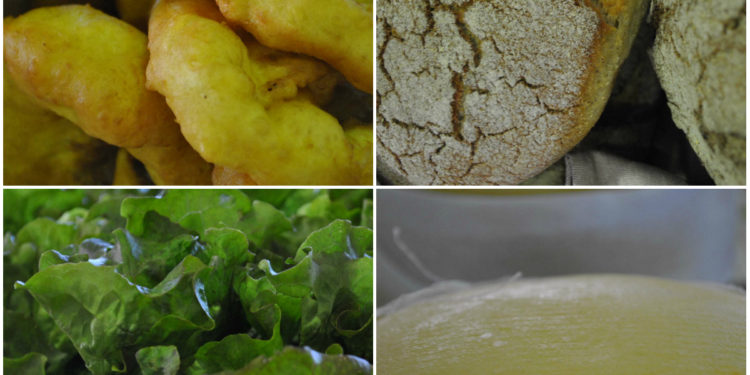 Mostra de produtos biológicos e agrícolas “Da Nossa Terra” comemora quatro anos