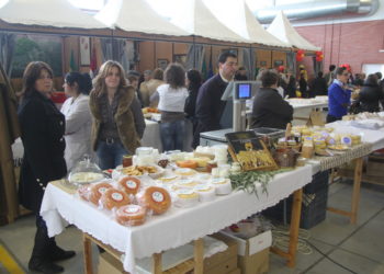 Tábua aposta numa grande feira do queijo