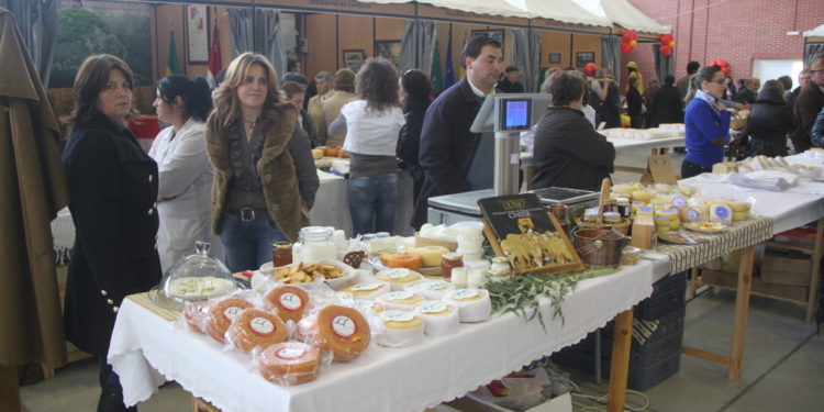 Tábua aposta numa grande feira do queijo