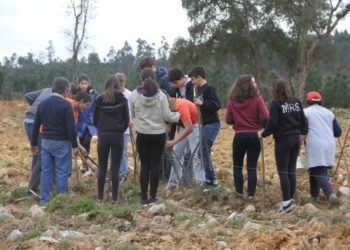 300 Árvores plantadas em Meda de Mouros