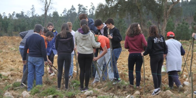 300 Árvores plantadas em Meda de Mouros