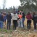 300 Árvores plantadas em Meda de Mouros