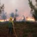 Oliveira do Hospital lidera lista dos concelhos com maior número de incêndios florestais