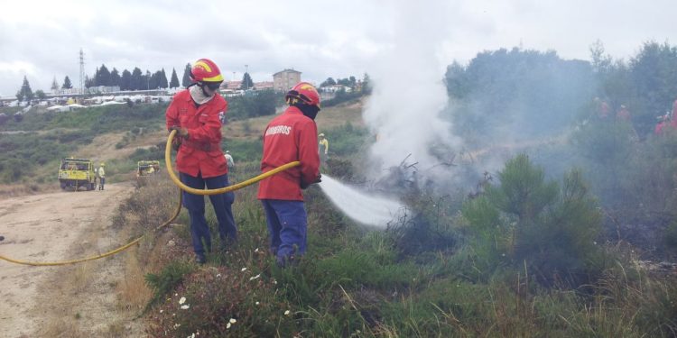 Oliveira do Hospital reforça dispositivo de combate a incêndios florestais