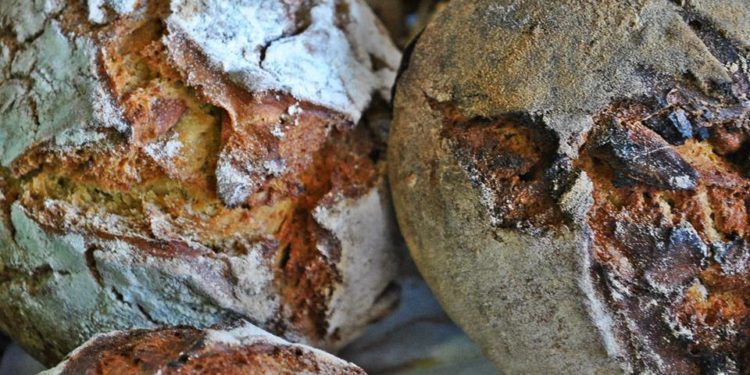 Mostra de produtos biológicos e agrícolas em modo de produção tradicional – “Da Nossa Terra” – este sábado no Mercado Municipal de Oliveira do Hospital