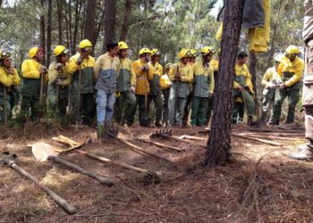 Sapadores florestais da CAULE recebem formação sobre “primeira intervenção em incêndios”