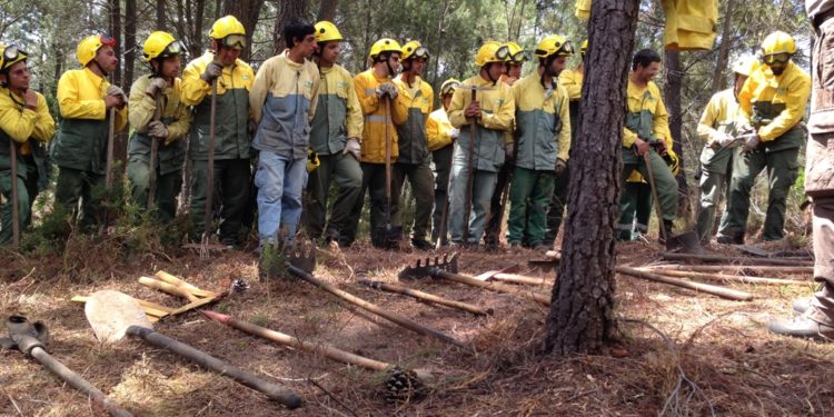 Sapadores florestais da CAULE recebem formação sobre “primeira intervenção em incêndios”