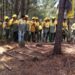 Sapadores florestais da CAULE recebem formação sobre “primeira intervenção em incêndios”