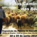 Exposição de pintura “Pelos Caminhos das Beiras”, de Enandil (Eduardo Gil)