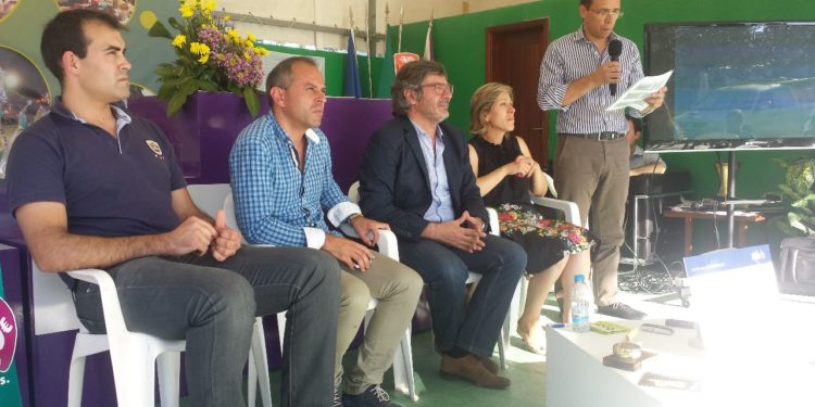 “OHP Dress White” promete dinamizar comércio local