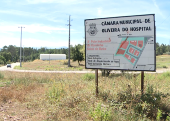 Vereadora do PSD questiona legalidade de cedência de terrenos da Zona Industrial da Cordinha