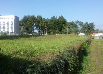 Continente e Pingo Doce brevemente em Oliveira do Hospital