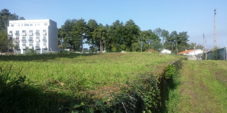 Continente e Pingo Doce brevemente em Oliveira do Hospital
