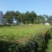 Continente e Pingo Doce brevemente em Oliveira do Hospital