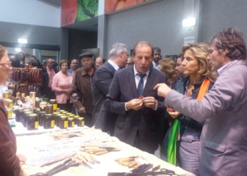 Ana Abrunhosa desafiada a ajudar a combater injustiça com esta região
