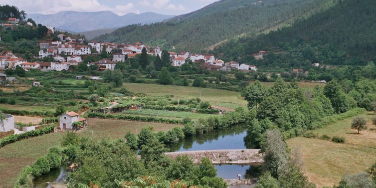 Cooperativa de Agricultores de Alvoco das Várzeas foi assaltada