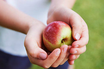 Câmara Municipal de Oliveira do Hospital distribui fruta aos alunos do 1.º Ciclo