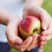 Câmara Municipal de Oliveira do Hospital distribui fruta aos alunos do 1.º Ciclo