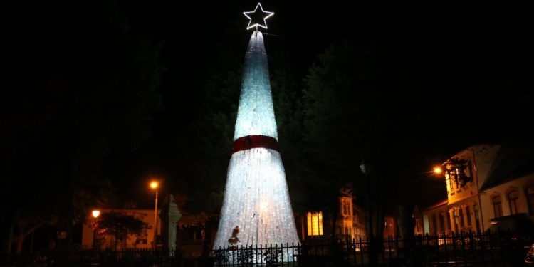 Árvore de Natal Ecológica de Travanca de Lagos é candidata ao Guiness