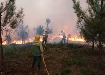 Oliveira do Hospital é o segundo concelho do distrito com maior número de incêndios
